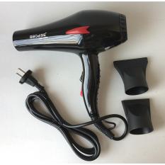 Baodisg Profesional Luxury Electron Hair Dryer 3320