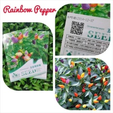 BIBIT CABE / BENIH Cabai Pelangi/ Bolivian Rainbow Pepper bell IMPORT