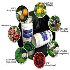 Biolo WSC Obat Pelangsing Badan Alami 100% Asli Original PRODUK BPOM TERLARIS