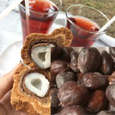 Buah Zuriat Madinah 0.5 kg Promil kesuburan Cepat Hamil Original Saudi Import Doum Baru