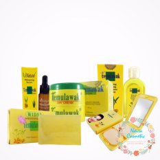Cream Temulawak Original - Paket Cream Temulawak Asli ( Cream, Sabun, Toner, Serum dan Bedak )