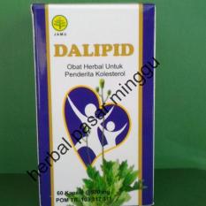 DALIPID obat herbal menurunkan kolestrol