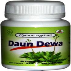 Daun Dewa Herbal Insani Untuk Penderita Kanker