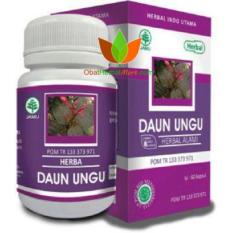 OBAT DAUN UNGU HERBAL INDO UTAMA 60 KAPSUL : OBAT AMBEIEN JAMU HERBAL WASIR