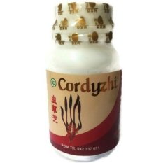 Daxen Cordyzhi Herbal Cangkok Gagal Ginjal