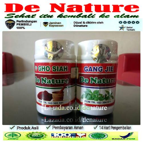 DeNature Obat Sipilis Kencing Nanah Gonore Herbal Alami