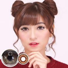 Dreamcolor1 Pear Brown Softlens - Minus 0.00 ( Normal ) + Gratis Lenscase