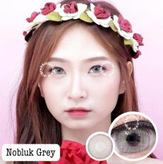Dreamcolor1 Softlens Nobluk - Grey - Minus 2.50 + Gratis Lens Case