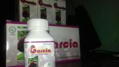 Ekstra kulit manggis GARCIA