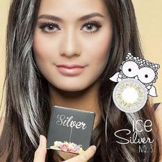 Exoticon X2 Ice Silver Softlens + Gratis Lenscase