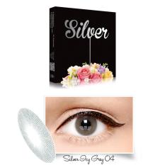 Exoticon - X2 Ice Silver Softlens - ICY Grey + Gratis Lenscase