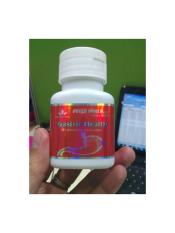 GASTRIC HEALTH TABLET GREEN WORLD/OBAT LAMBUNG/MAAG/TUKAK