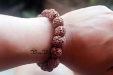 Gelang Biji Jenitri Genitri Rudraksha Alami
