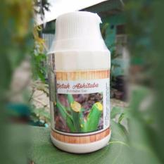 Getah ashitaba 100 ml