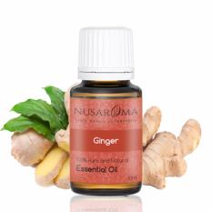 Ginger Essential Oil / Minyak Jahe 10 ml