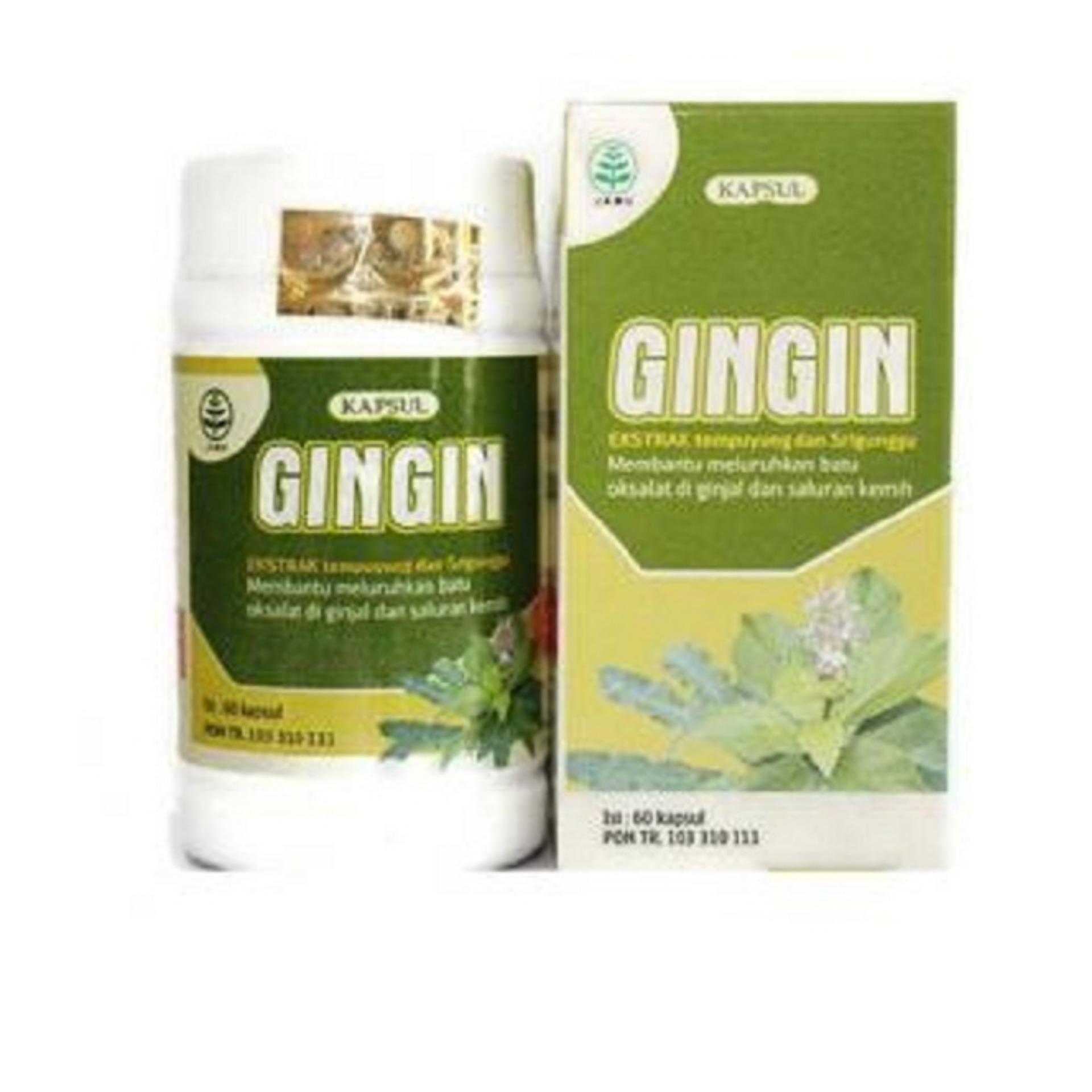 GINGIN Ekstrak Tempuyung dan Srigunggu - Meluruhkan Batu Ginjal