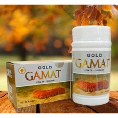 Gold Gamat Plus Kapsul Ekstrak Gamat Emas BPOM - 75 Kapsul
