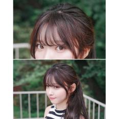 Hairclip Poni Tipis Korea