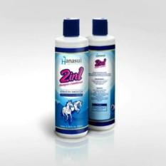 HANASUI SHAMPOO / SHAMPO KUDA 2IN1 BPOM