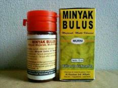 HANIFAHHERBAL Bulus Minyak Murni Al Kautsar