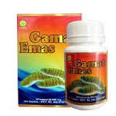 Herbal Insani _ Gamat Emas