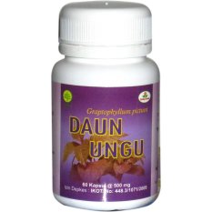 Herbal Insani Kapsul Daun Ungu - 60 kapsul