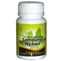 Herbal Insani Kapsul Sambung Nyawa - 40 kapsul