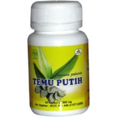 Herbal Insani Kapsul Temu Putih Untuk Kanker dan Tumor - 40 Kapsul