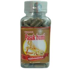 Herbal Kapsul PB Extra PB 120 Capsul Ekstrak PB