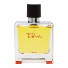 Hermes Terre d`Hermes Men 75ml EDP