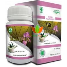 KAPSUL HIU SILANGSING HERBAL INDO UTAMA, JAMU HIUSILANGSING, OBAT PELANGSING BADAN, PENURUN BERAT BADAN