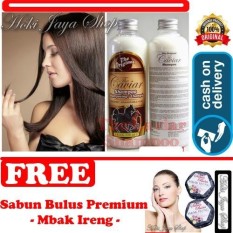 HOKI COD - Shampo Caviar - Shampo Kuda Sudah BPOM - 250 mL + Gratis Sabun Bulus Mbak Ireng Pembesar Payudara dan Pengencang Kulit Premium - 1 Pcs