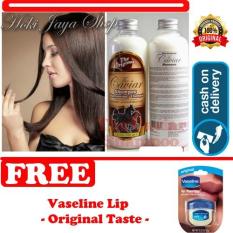 HOKI COD - Shampo Caviar - Shampo Kuda Sudah BPOM - 250 mL + Gratis Vaseline Lip Therapy Original Taste - 7gr
