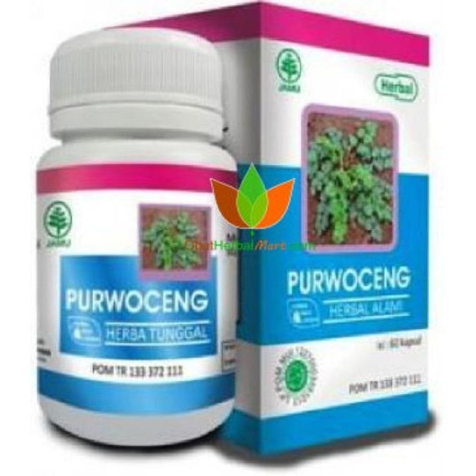 KAPSUL PURWOCENG-PURWACENG HERBAL INDO UTAMA, OBAT PENAMBAH STAMINA PRIA 