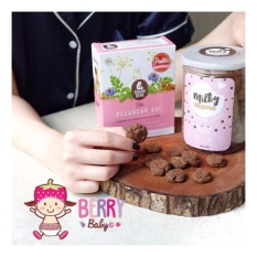 YooBerry Mama Bear Cookies Pelancar Asi Milky Mama Rasa Choco Chips