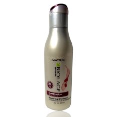 Matrix Biolage Advanced Repairinside Arginine + Soya oil Shampoo