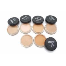 Mesh Kylie Concealer Foundation Contour 6 Color All In 1 - Series A - Natural Shade 6 pcs