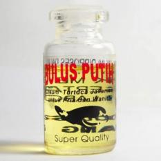 Minyak Penyu Bulus Putih (Oleum Turtuca Javanica) Kualitas Super / Obat Oles Kulit / Luka