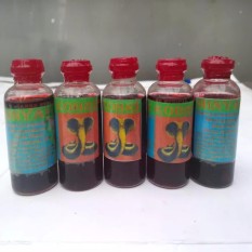 Minyak Ular Cobra,Gatal - Gatal, Vitalis Pria