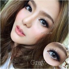 Newbluk Softlens - Grey + Gratis Lenscase