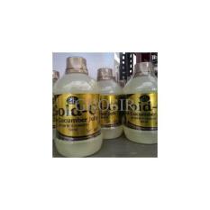 Obat Alami Menyembuhkan Sakit Maag / Asam Lambung Tinggi / Nyeri Ulu Hati / Tukak Lambung / Luka Lambung / Lambung Bengkak / Infeksi Lambung / Lambung Bocor Jelly Gamat Gold G 100% Ampuh 2FR8
