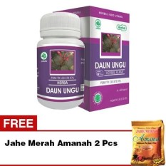 Obat Jamu Herbal Wasir Ampuh Hiu Daun Ungu