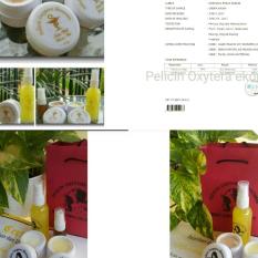 Oxytera Ekonomis Paket Acne Salep Pelicin Wajah SPW