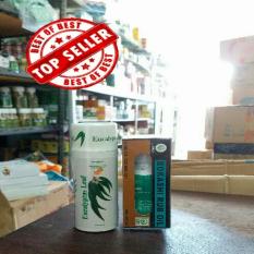 PAKET MINYAK OLES BOKASHI 65 ML +HOT CREAM EUCALIPTUS MASAGE CREAM