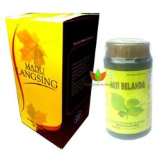 PAKET OBAT PELANGSING MADU LANGSING & JATI BELANDA JAMU BOROBUDUR
