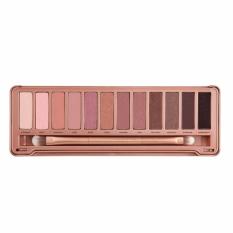 Parkinson Professional 12 Warna Eyeshadow Makeup Pallete Kit N3 - 1 Buah