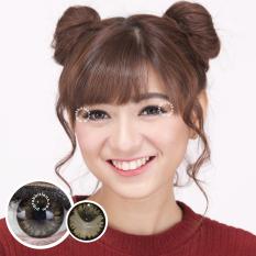 Pretty Doll Little Chimmer Brown Softlens - Minus 2.75 + Gratis Lenscase