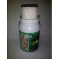 PROMO GREEN ZONE JOMBANG Isi 50 Kapsul Trendi