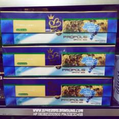 PROPOLIS GRAND BEE 1 PAKET ISI 8 BOTOL