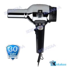 Rainbow Travel Hair Dryer Type 201 - Silver